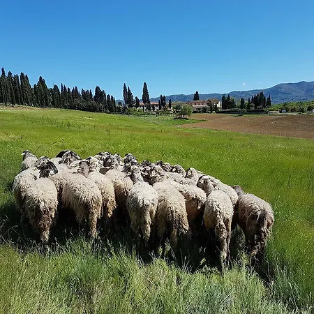 Vakantieboerderij Fattoria Rozzalupi Cerreto Guidi