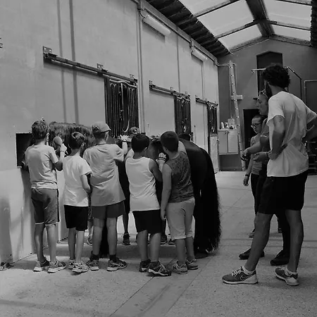 Fattoria Rozzalupi * Cerreto Guidi