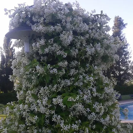 Fattoria Rozzalupi Vakantieboerderij Cerreto Guidi