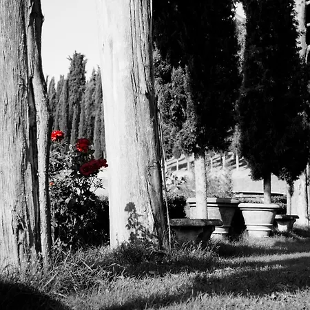 Fattoria Rozzalupi Agroturismo Cerreto Guidi