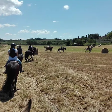 Fattoria Rozzalupi Agroturismo *