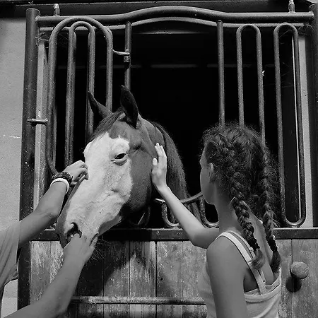 Farmház Fattoria Rozzalupi